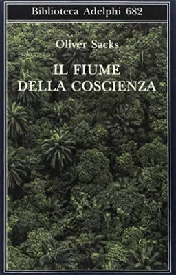 Il fiume della coscienza