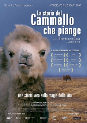 La storia del cammello che piange